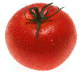 Pomodoro - cura delle piante da orto