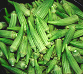 Gombo o okra - cura delle piante da orto