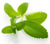 Stevia - cura delle piante aromatiche